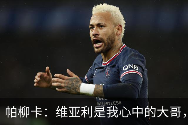 帕柳卡：维亚利是我心中的大哥，批评声不要太过火！