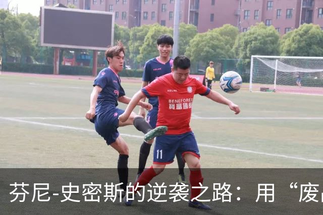 芬尼-史密斯的逆袭之路：用“废品”换来大赚一笔！